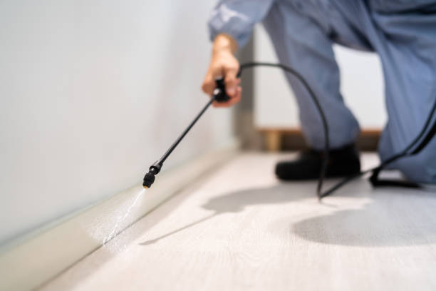 Bed Bug Pre-Treatment Preparation Assessment in Spring Lake