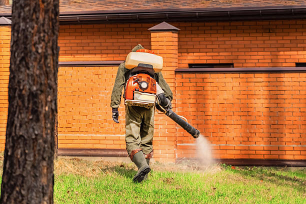 Bed Bug Clearance Verification and Documentation in Spring Lake
